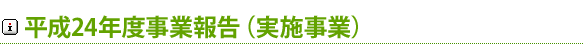 平成24年度伊豆魅力(三力)プロジェクト事業報告(実施事業)