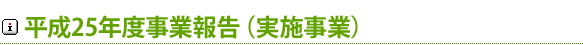 平成25年度伊豆魅力(三力)プロジェクト事業報告(実施事業)