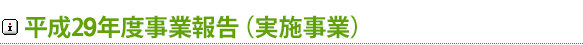 平成29年度伊豆魅力(三力)プロジェクト事業報告(実施事業) 平成29年度伊豆魅力(三力)プロジェクト事業報告(実施事業)