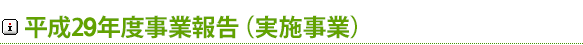 平成29年度伊豆魅力（三力）プロジェクト事業報告（実施事業）