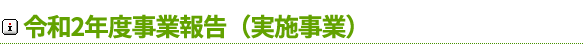 令和2年度伊豆魅力（三力）プロジェクト事業報告（実施事業）