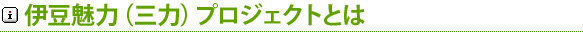 伊豆魅力(三力)プロジェクトとは