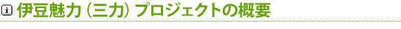 伊豆魅力(三力)プロジェクトの概要